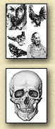 Drawings