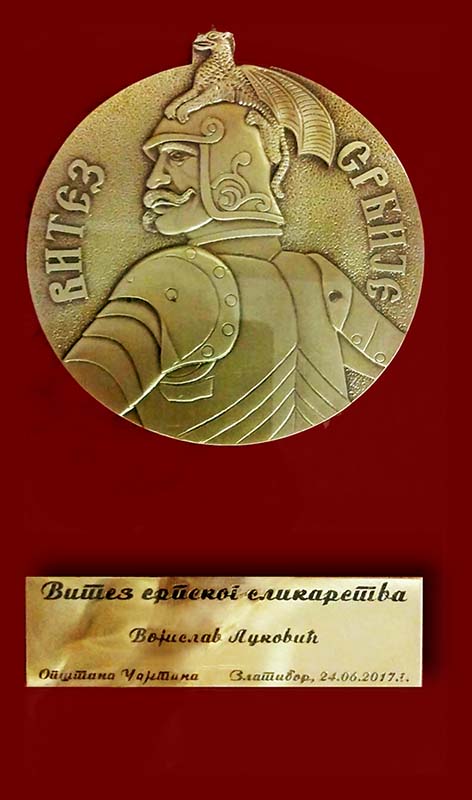Видовдански витез
